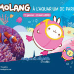 Molang à l'aquarium de Paris !